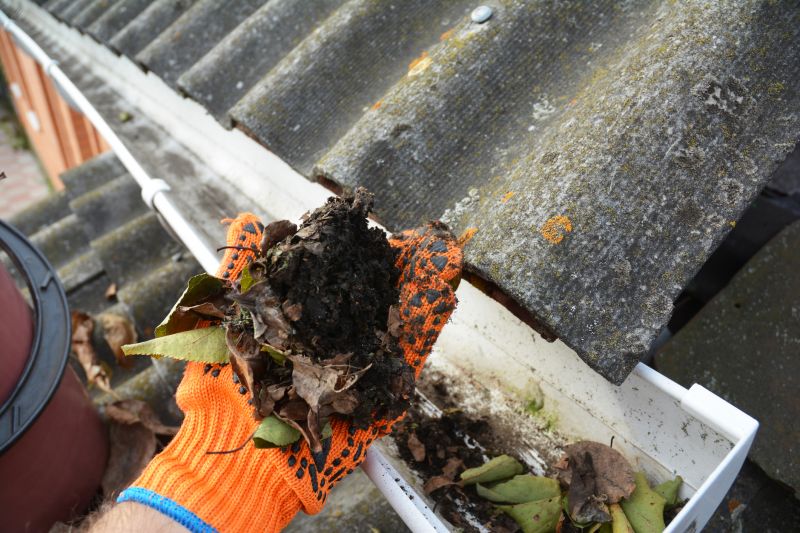 Gutter Cleaning Results